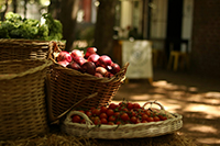 variety of fruits in a wooden basket.